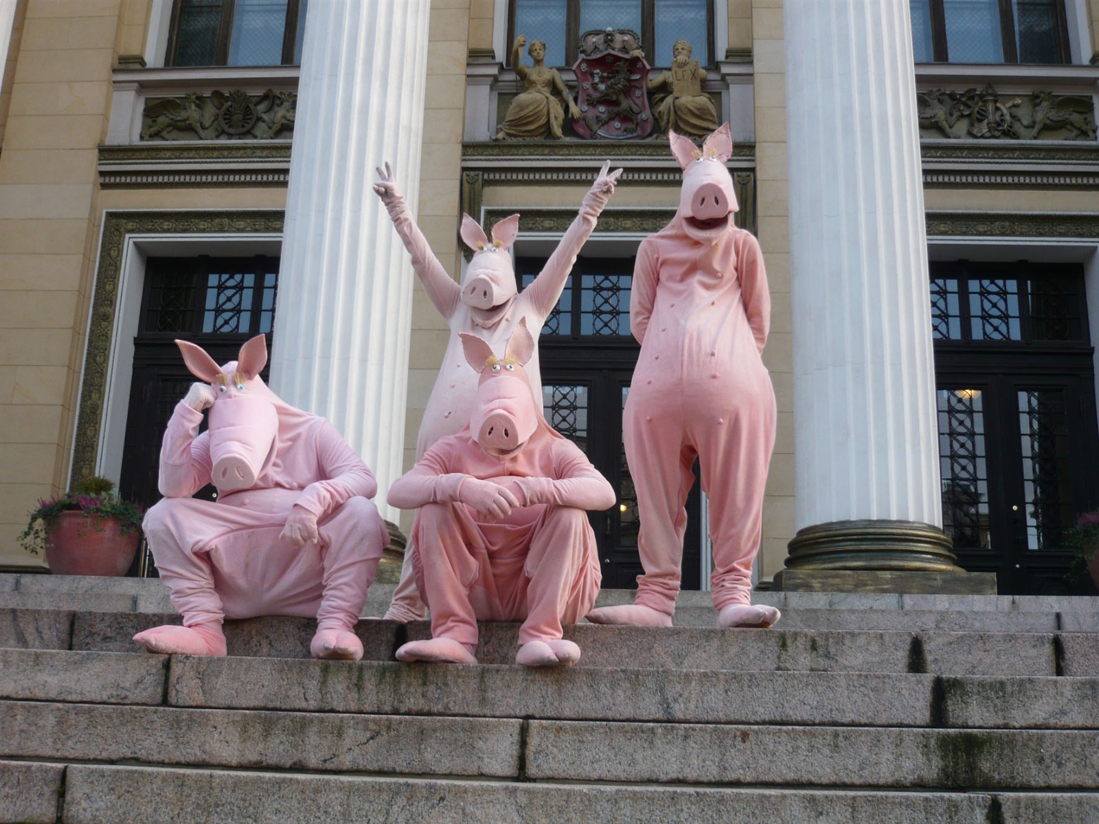 Four pigs standing or sitting on the stairs.
